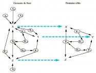 Gineste, analogie, domaine source, domaine cible, neurosciences theorie sensorielle