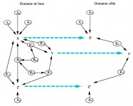 Gineste domaine source domaine cible neurosciences analogie theorie sensorielle