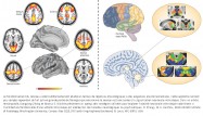 Raichle Zhang dark energy energie noire brain cerveau non-conscient non-conscious conscious unconscious theorie sensorielle sensory theory philippe roi tristan girard