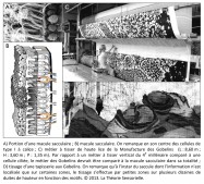 macule sacculaire, cellule de type I, calice, métier à tisser vertical, cellule ciliée, métier des Gobelins, tapisserie, zones, tissage, duites, motifs