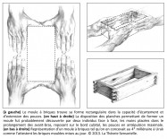 avant-bras, bord cubital, antépuslion, moulage, bois, doigts, pouce, dimension, normalisation, norme, dessin, neurosciences, inventions, main, Mésopotamie, moule à briques, analogie, philippe roi, tristan girard, jean-pierre lemerle