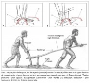 Araire, propulsion, pression, équilibrage, traction, angle d'attaque, flexion dorsale, flexion plantaire, supination, pronation, adduction, abduction, sagittal, frontal, horizontal, station debout, equilibre, mouvement, dynamique, neurosciences, Mesopotamie, Uruk, pied, archeologie, invention, analogie, Philippe Roi, Tristan Girard