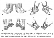 sagittal, frontal, horizontal, supination, pronation, adduction, abduction, araire, propulsion, station debout, équilibre, mouvement, dynamique, neurosciences, Mésopotamie, Uruk, pied, archéologie, invention, analogie, Philippe Roi, Tristan Girard