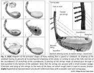 origine of the harp mesopotamia uruk soundboard tuning pegs calabash music