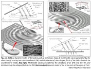 analogy collagen fibrils vibration of the outer hair cell tectorial membrane organ of Corti soundboard of a harp