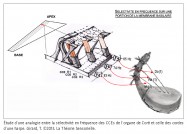 analogie sélectivité en fréquence CCE organe de Corti et cordes harpe